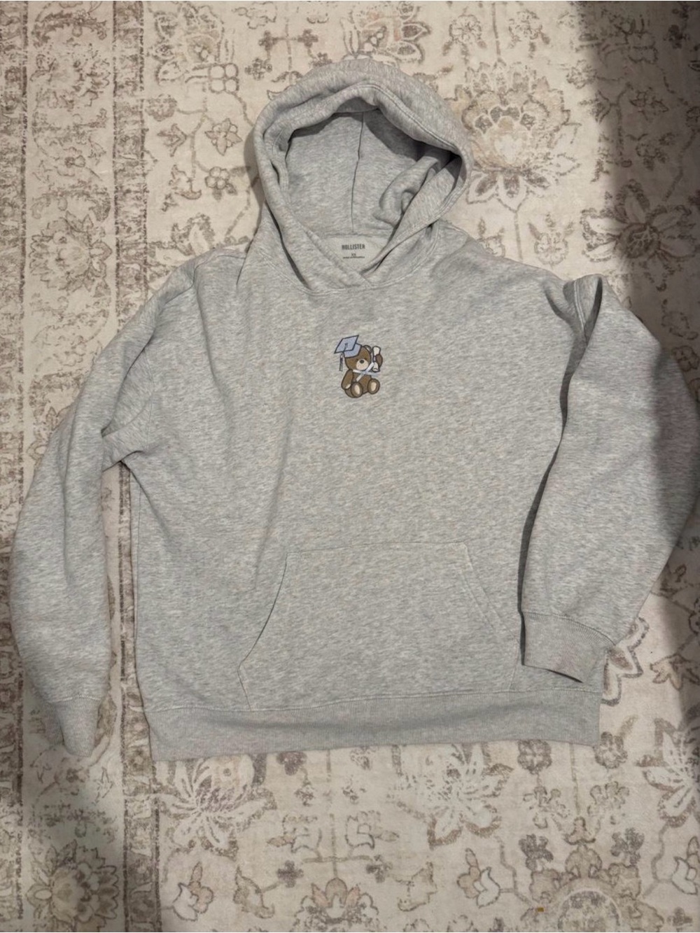 Gray Teddy Graphic Hoodie - Men